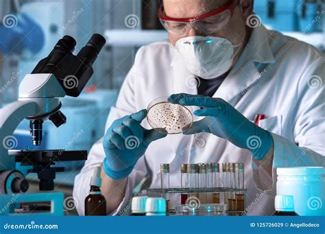 Lab Technician Working With Petri Dish For Analysis In The Micro Stock