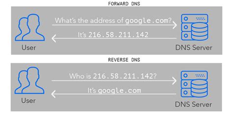 What Is Reverse Dns Lookup And Why Should You Care