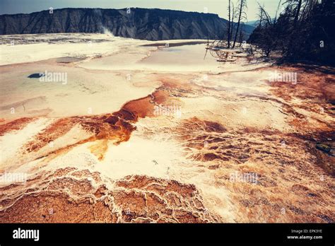 Mammoth Hot Springs Stock Photo Alamy