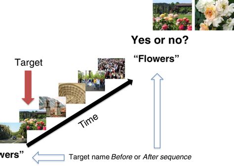 Illustration Of A Trial In Experiment 1 The Target Name Appeared