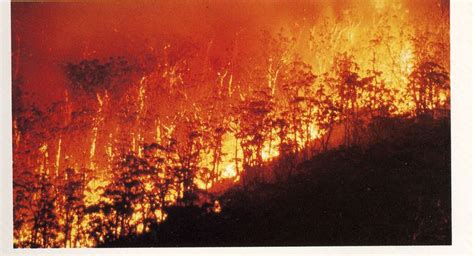 Ash Wednesday bushfires - Alchetron, the free social encyclopedia