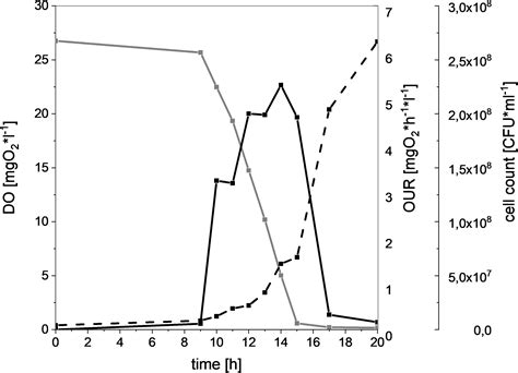 Frontiers Quantitative Oxygen Consumption And Respiratory Activity Of