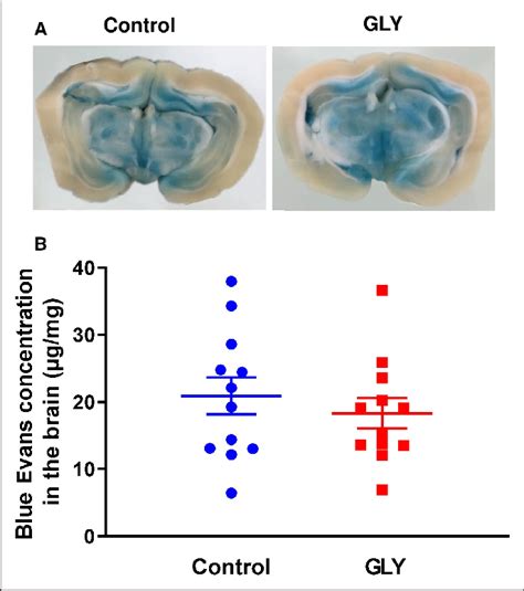 Assessment Of Blood Brain Barrier Integrity Following Cardiac Arrest