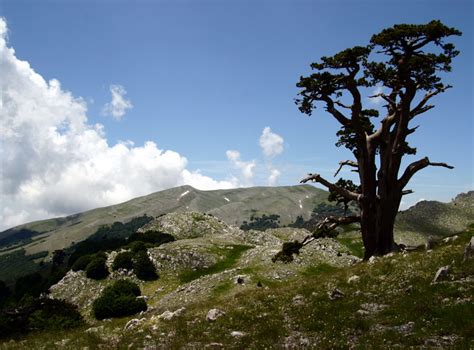 Visitare Mormanno Ed Il Parco Del Pollino