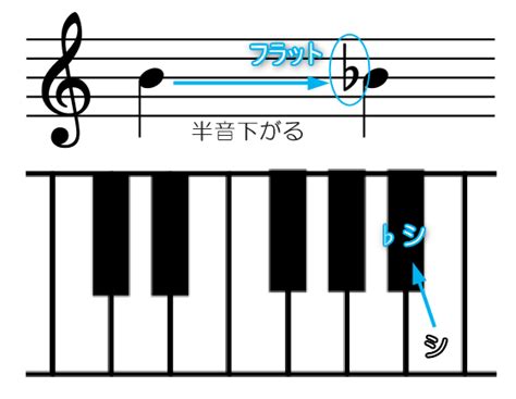 【楽譜の読み方】シャープ・フラット・ナチュラルの意味｜詳しく図解｜えすたの合唱ノート