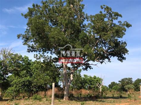 Mil Fazendas Fazenda Dupla Aptid O Em S O Val Rio To