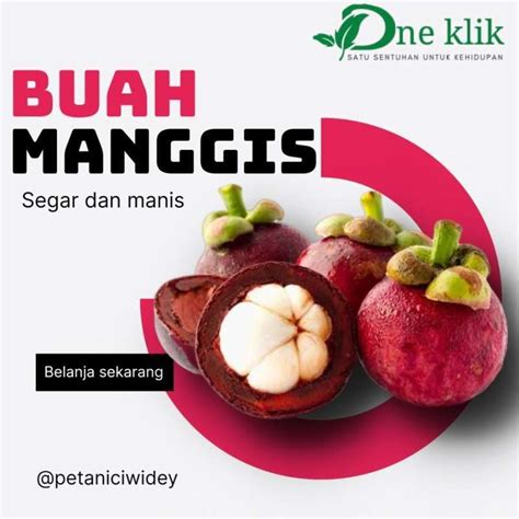 Jual Buah Manggis Kg Manis Dan Segar Di Seller Berkebun Id Ciwidey