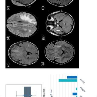 Baseline Clinical And Mri Features Age At Clinical Presentation A