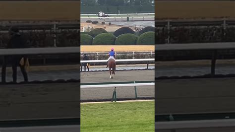 中京競馬場 メイクデビュー ディーエスエンスー 返し馬 競馬動画まとめ