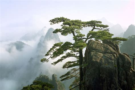 Huangshan National Park: The Complete Guide