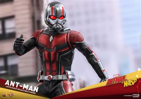 Hot Toys蟻俠 黃蜂女現身蟻俠Ant Man 比例珍藏人偶登場 Toys Zone D 玩具兄弟 Figures Price List Reviews