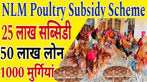 Nlm Poultry Farming Subsidy Scheme