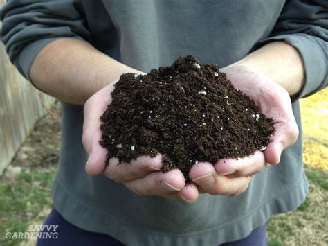 DIY Potting Soil: 6 Homemade Potting Mix Recipes for the Garden