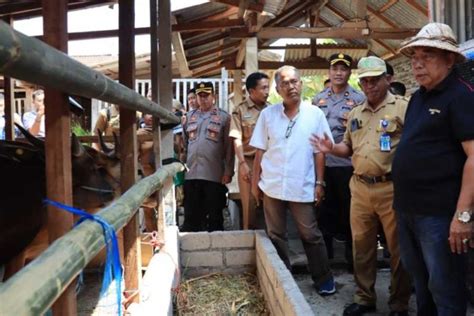 Jelang Iduladha Bupati Tamba Tinjau Kesehatan Hewan Kurban