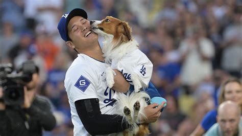 Shohei Ohtani's dog Decoy fetches first pitch, Dodger hits leadoff HR