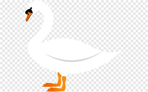 Pato Ganso Cygnini Cisne De Dibujos Animados Computadora Fondo De