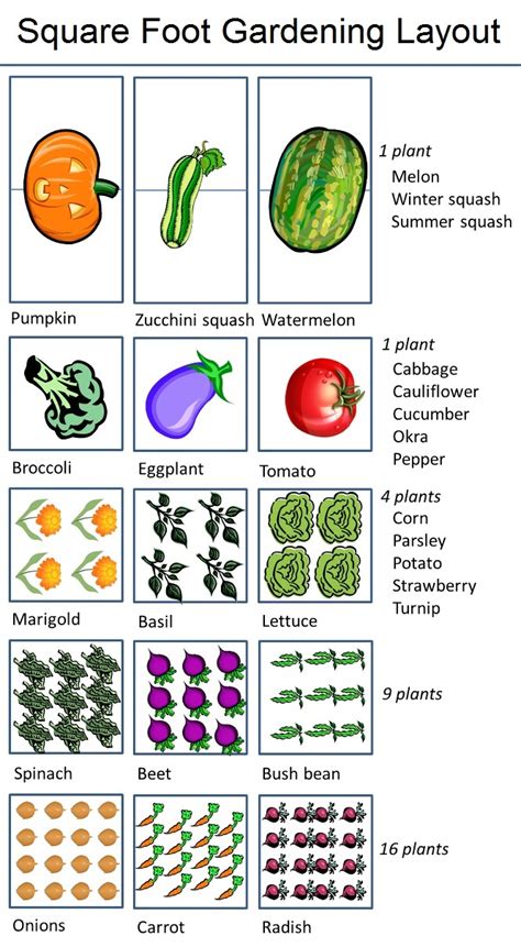 #Gardening : Square Foot Gardening Layout