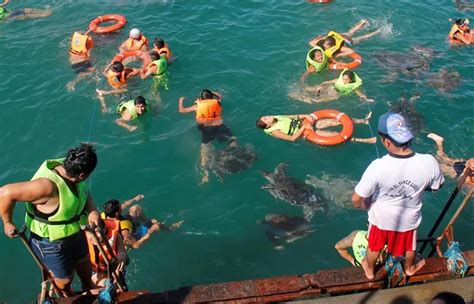 Nado Con Tortugas En M Ncora Plataforma Flotante Horas