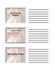 Beef Grading Blk Ppt Pdf Beef Carcass Grading Types Of Grading