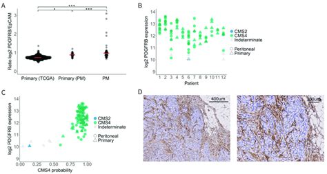 Pdgfrb Expression In Cms4 Peritoneal Metastases A Relative Pdgfrb Download Scientific