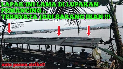 Mancing Cirata Terbaru Spot Yang Terlupakan Ternyata Jadi Sarang Nya