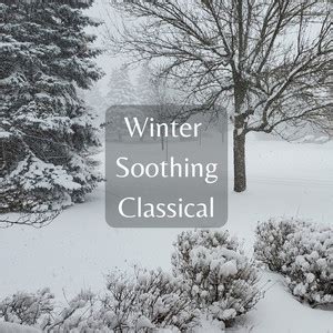 Winter Soothing Classical - playlist by Matt Spencer | Spotify