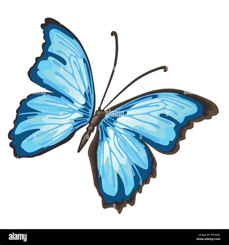 Cartoon Butterfly With Blue Wings Isolated On White Background Cartoon