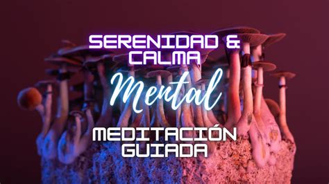 15 min Meditación psicodélica guiada Serenidad calma mental Aprende