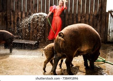 Sexy Nude Blonde Blue Eyes Red Stock Photo Shutterstock