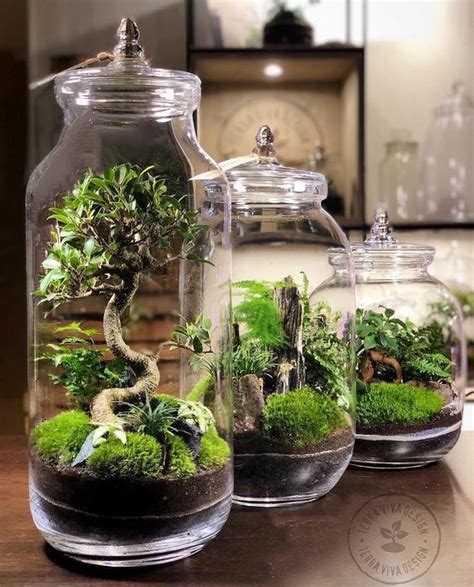 Innovative Diy Terrarium Ideas To Pep Up Your Home Decor Closed