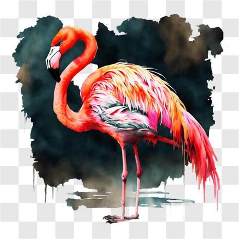 Télécharger Flamant rose dans une peinture abstraite avec de l eau qui