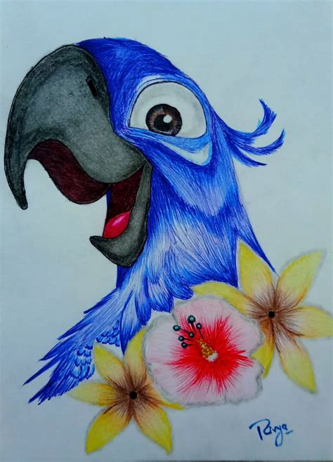 Pencil Drawings Of Parrots