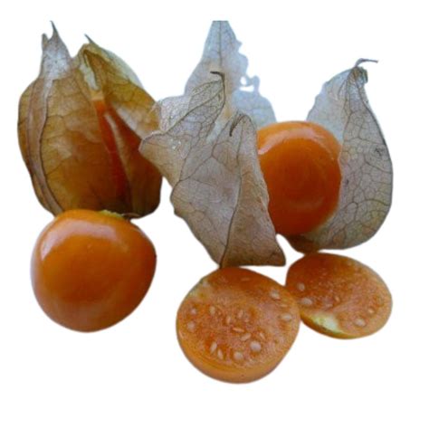 Buy Rusberry At Best Price - GrocerApp
