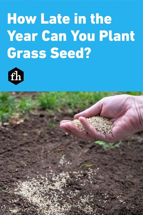 How Late In The Year Can You Plant Grass Seed Planting Grass