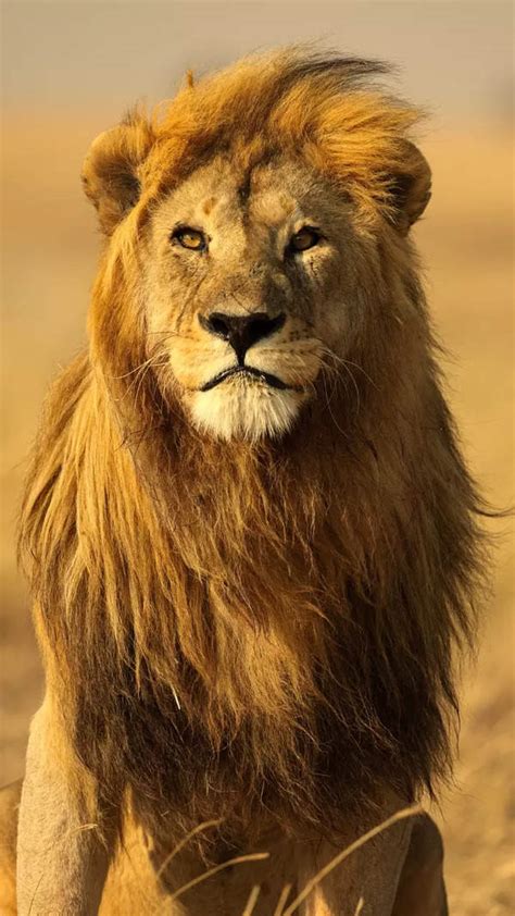 Radhika Apte Opens Up About Her Nude Clip Leak Says It Did Affect Me My Driver And Watchman