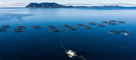 Tassal Group Sustainable Salmon Farms