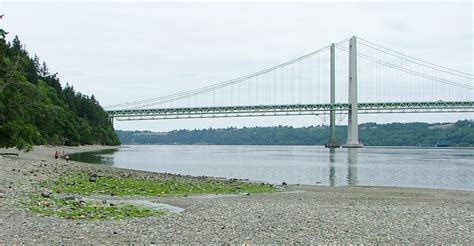 The Tacoma Narrows Bridge | Travels With Towhee