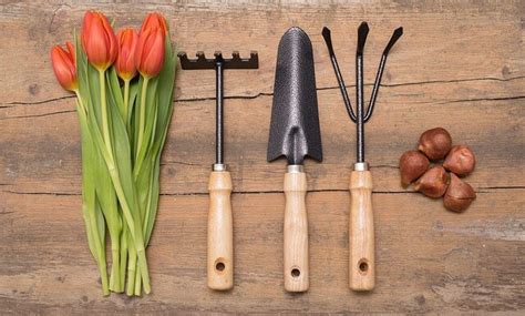 important gardening tools  easy gardening gardening wow