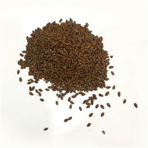 Flax Seed – Idukki Gold Spices