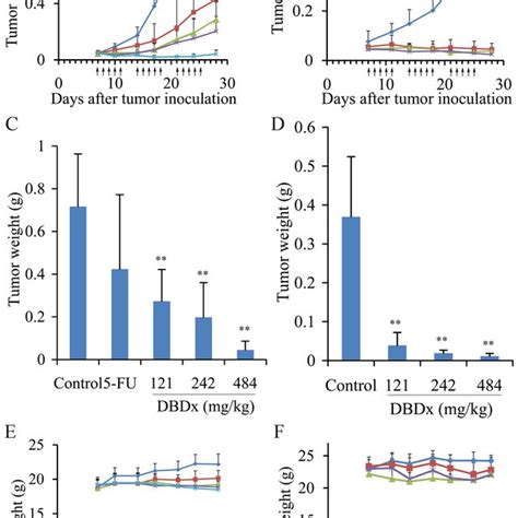 Dbdx Inhibited The Growth Of Hepg Xenograft And A Xenograft In