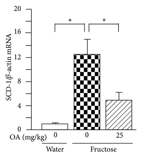 Hepatic Expression Of MRNAs Encoding Sterol Regulatory Element Binding