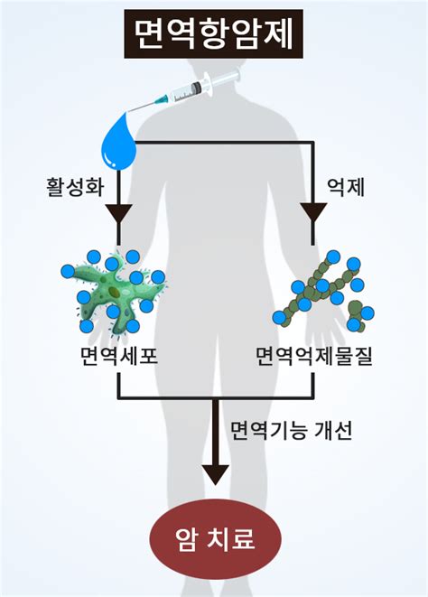 차세대 암 치료제 면역항암제 일부 병원에서 보험 혜택도 당신의 건강가이드 헬스조선