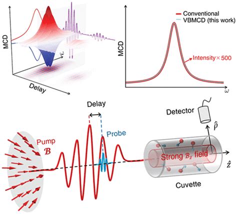 Magnet Free Time Resolved Magnetic Circular Dichroism With Pulsed