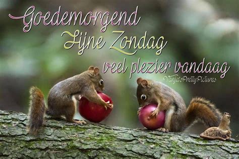 Fijne Zondag Herfst Zondag Leukeplaatjes Nl