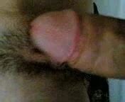 Meeee Amateur Porn XHamster