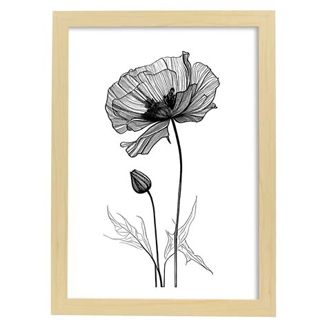 Nacnic Coquelicot Illustration De Botanique De Fleur Noire Et Blanche