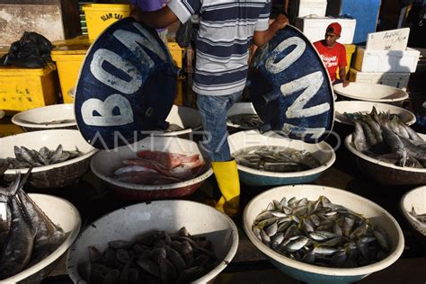 TINGKAT KONSUMSI IKAN NASIONAL ANTARA Foto