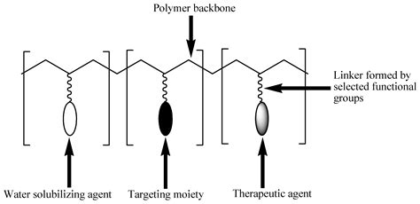 Polymer Drug Conjugate In Breast And Lung Cancer Encyclopedia Mdpi