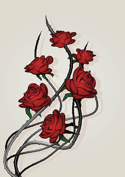 Rose Thorn Illustrations, Royalty-Free Vector Graphics & Clip Art - iStock