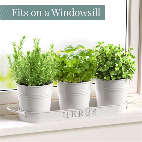 Barnyard Designs Indoor Outdoor Herb Garden Planter Set with Tray